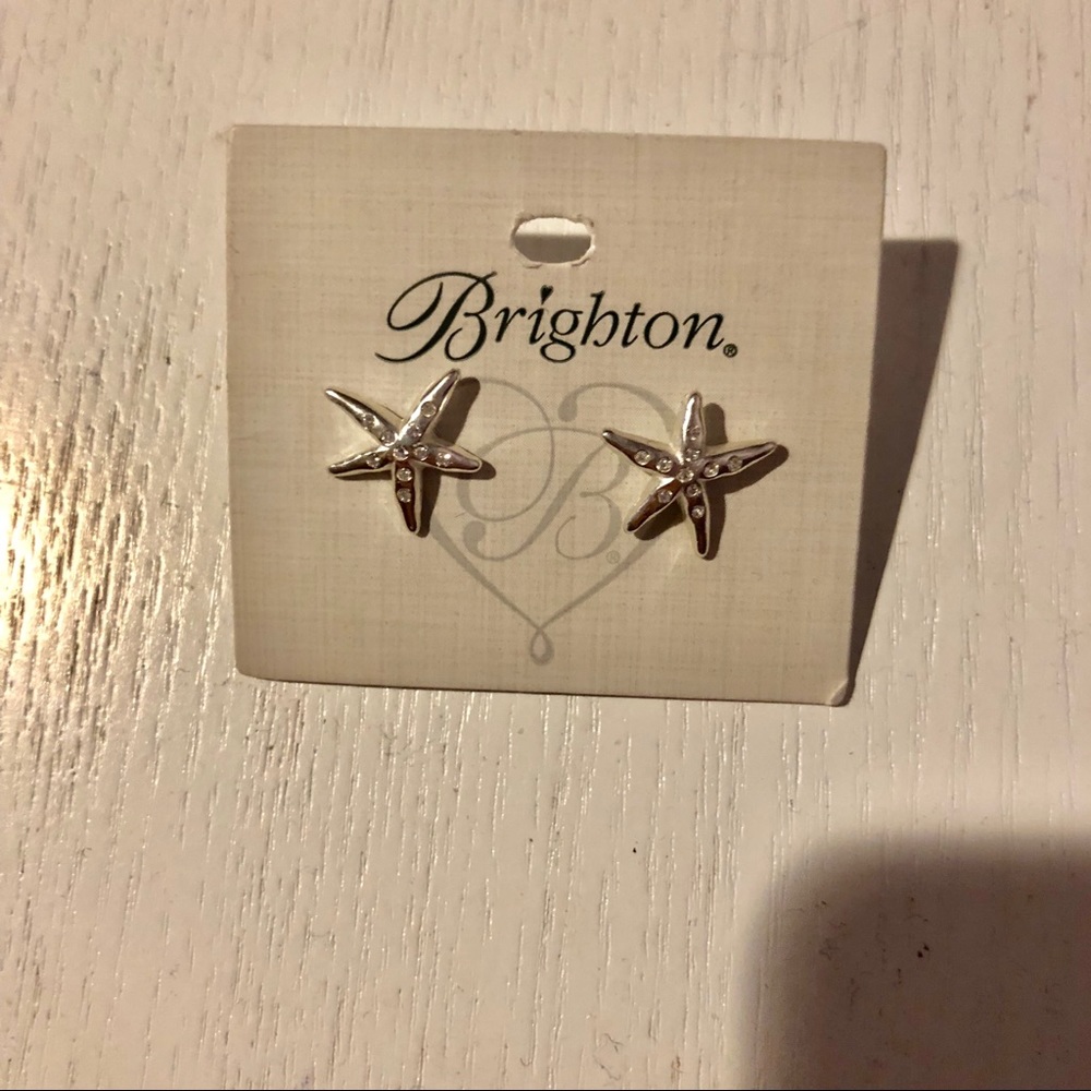 Brighten star fish ear rings